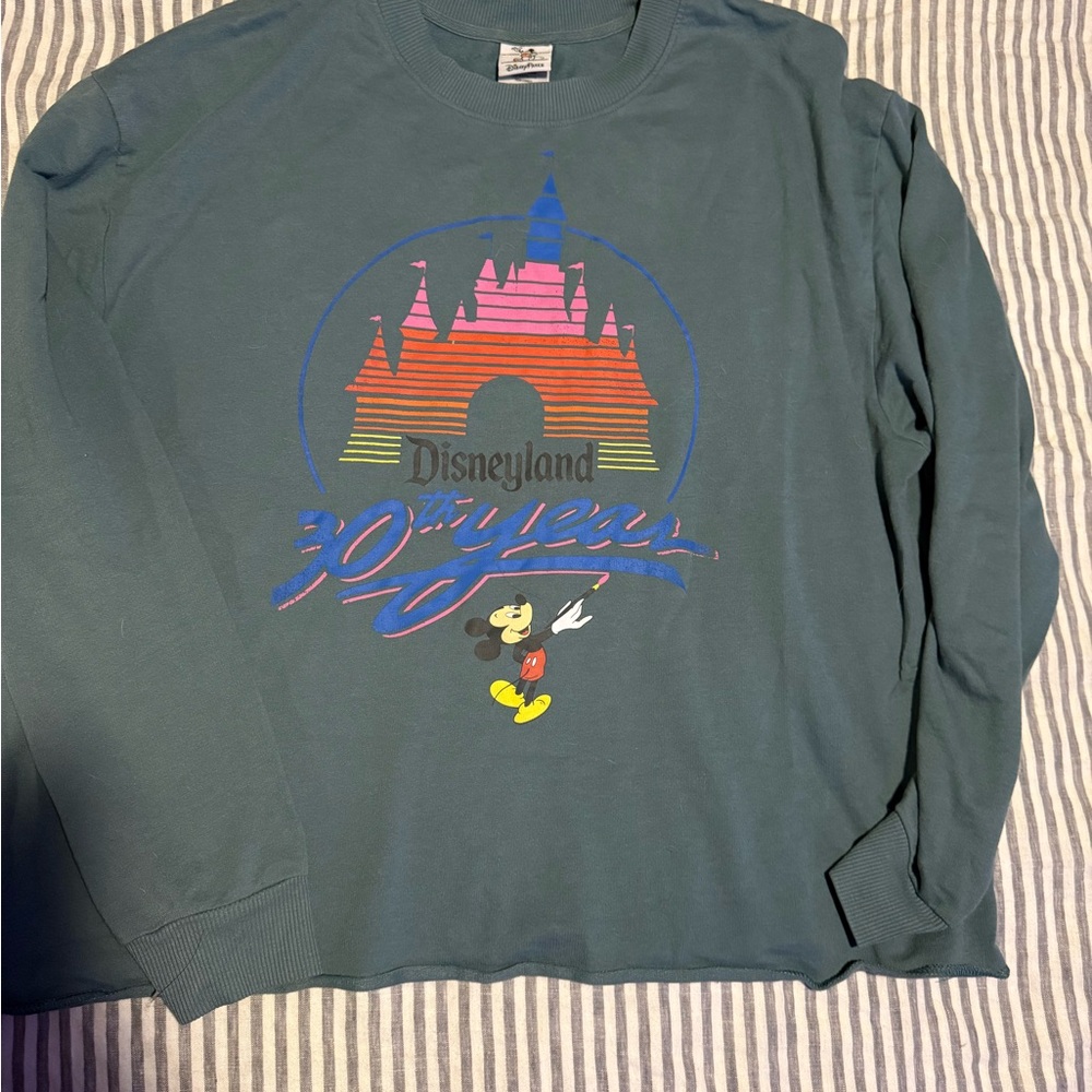 Disney Parks Authentic Disney Park 30th Year Cropped Long Sleeve tee